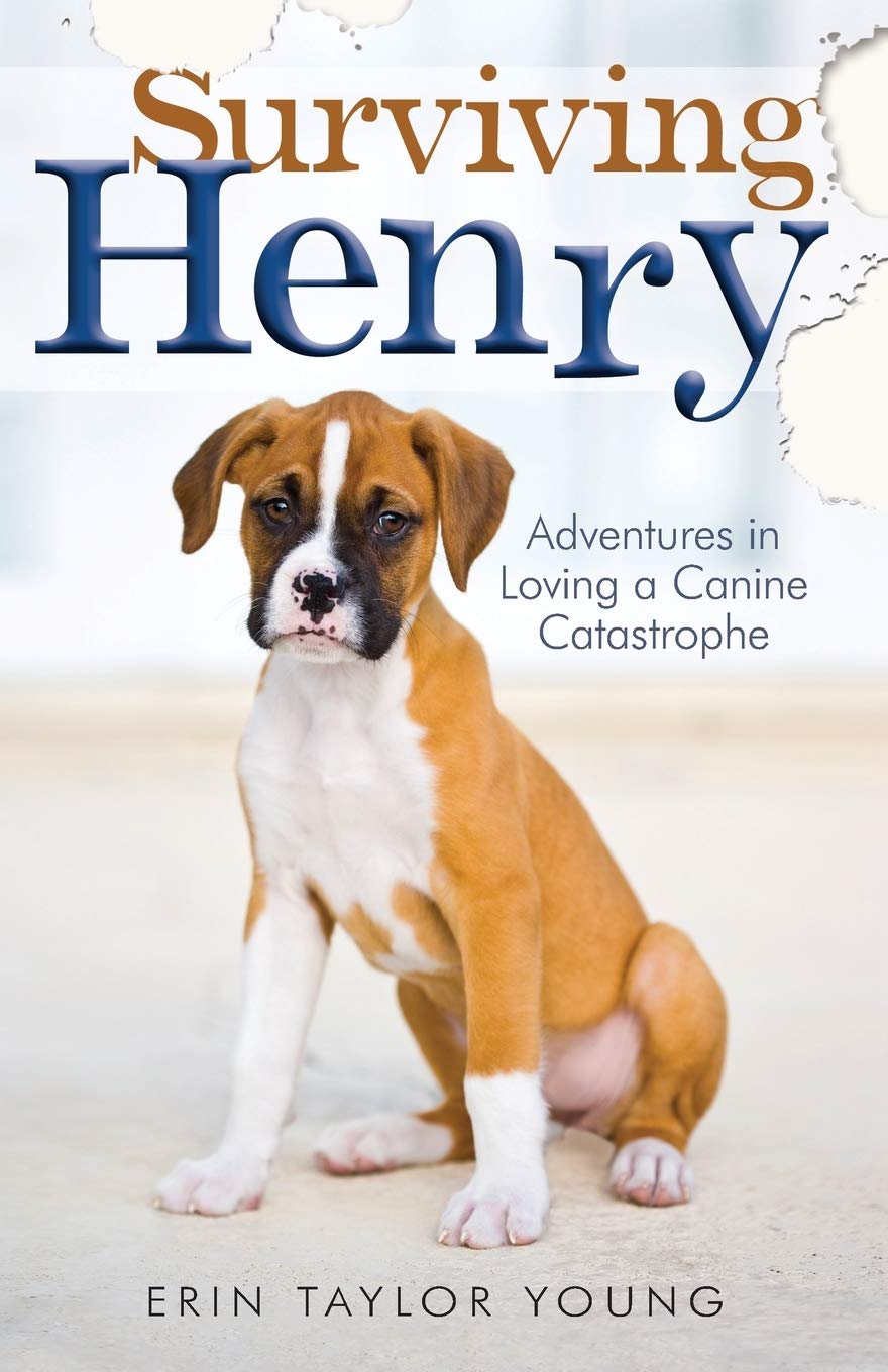 Surviving Henry book cover